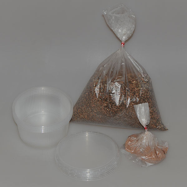 Auslaufartikel: Aussaat Set