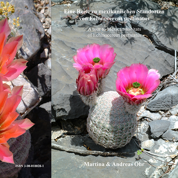 Eine Reise zu mexikanischen Standorten von Echinocereus pectinatus